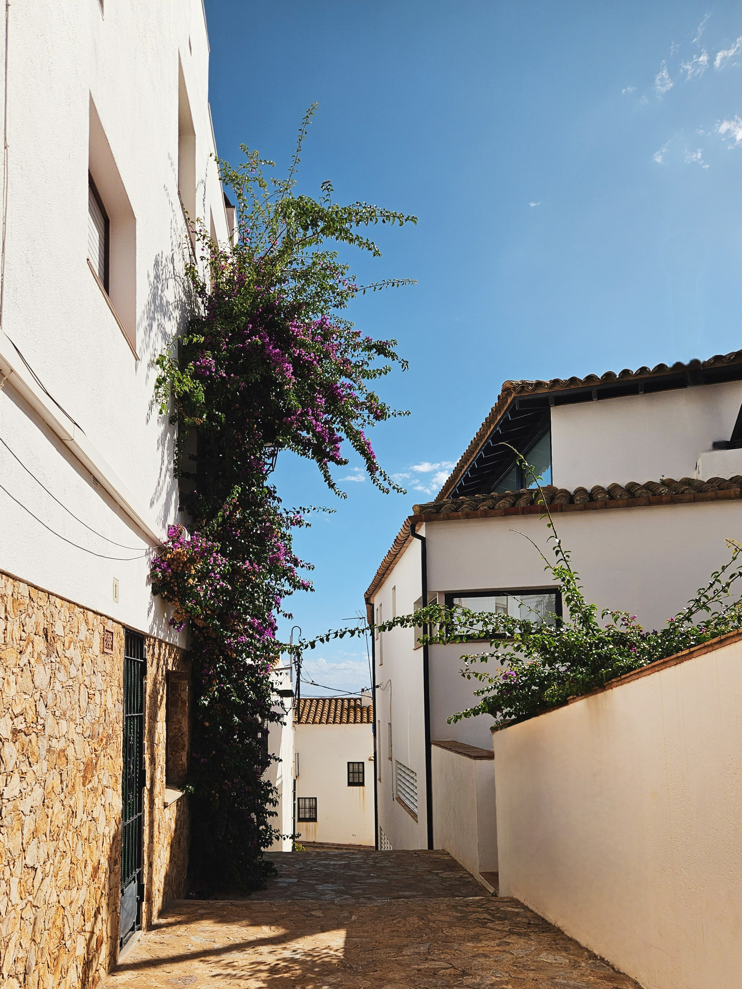 Callejón