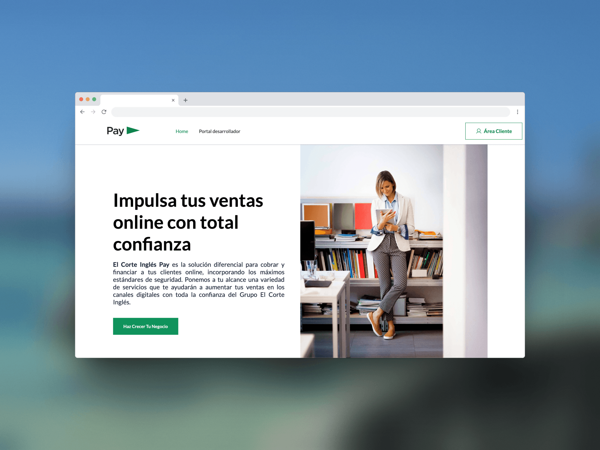 Ecipay - Portal de Clientes